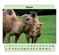 Kalend 2003 - bezen